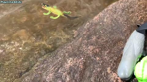 Sea Animal Toys This Summer at the Shore