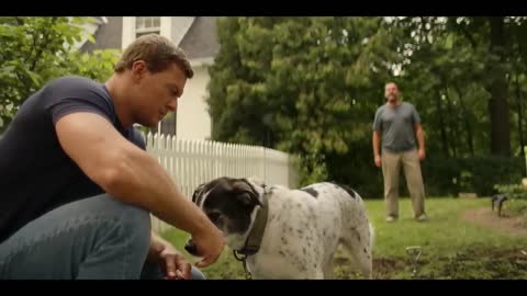 Reacher Rescues a Mistreated Dog | Reacher