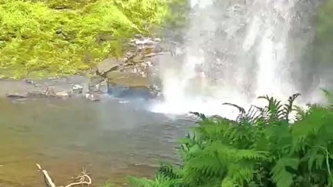 Henrhyd Falls, Brecon Beacons National Park - South Wales