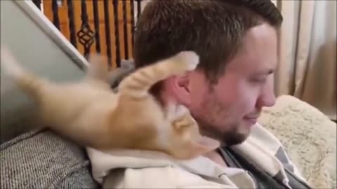 🙈Really Funny Cat & Dog Compilation...Cute & Hilarious! 🐕