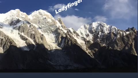 ladyfinger