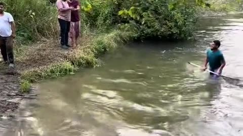 Illegals breaking fishing laws