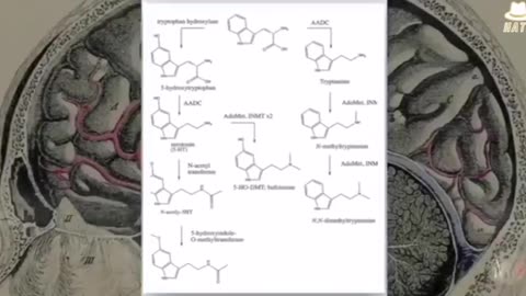 A comprehensive breakdown of the science