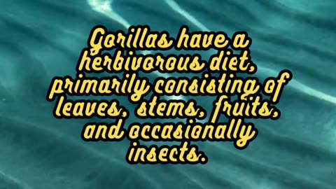 Animal Facts Gorillas #shorts