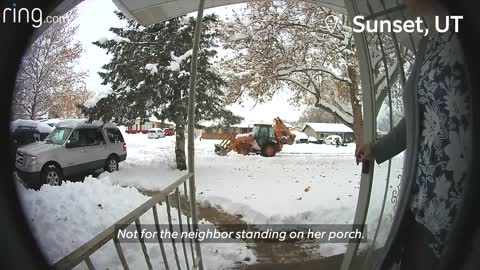 A Little Girl Crosses Paths With A cat and Dad Dog Outside Neighborhood Story.