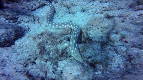 Best beach and bay to dive in Curacao