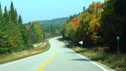 Fall Foliage