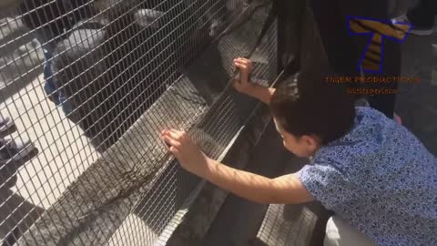 FORGET CATS! Funny KIDS vs ZOO ANIMALS are WAY FUNNIER! - TRY NOT TO LAUGH