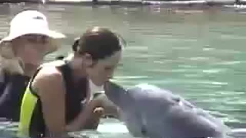 Dolphin kisses trainer