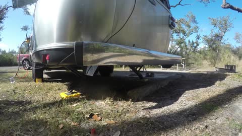 Bird Attacking Camper