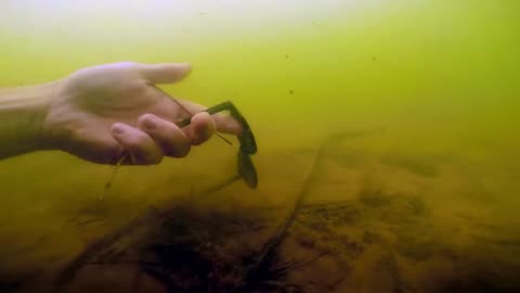 Shocking Discovery: Knife Found Scuba Diving at Popular Children's Swimming Spot!