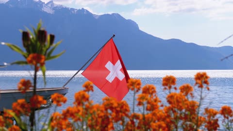 “Swiss Report Recommends the End of Strict Neutrality” - Video Version