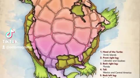 AMERICA IS TURLE ISLAND LANDS OF THE TURTLE DRAGONS