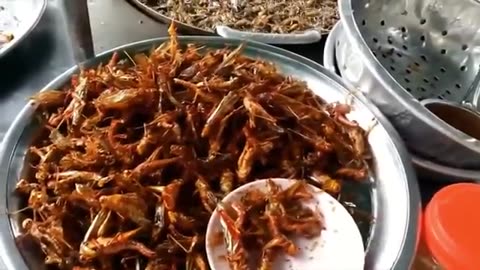 Insect!! Extreme Street food in Bangkok, Thailand