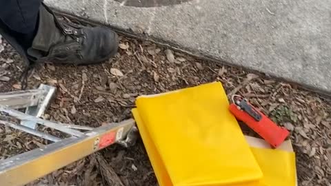 Fire Department Rescue Kitten From Storm Water Drain