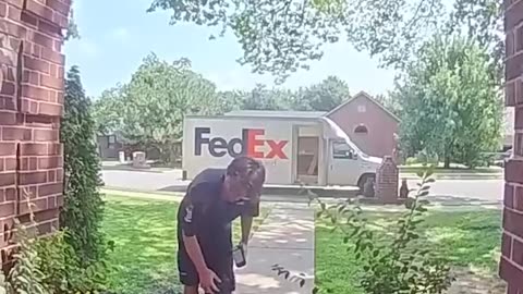 Mini Schnauzer Gives the FedEx Guy a Hug