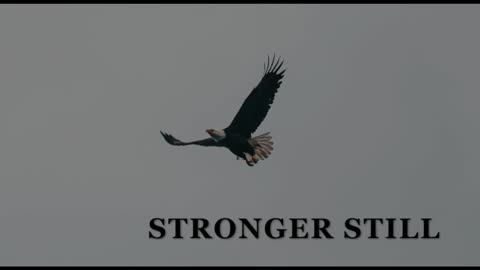 Pray USA 2/22/24 Stronger Still