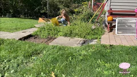 Time lapse Bed clean up and rebuild walkway