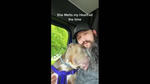 Adorable pup shows love to owner with cuddles