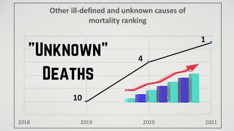 What Could It Be? Unknown Reasons Sudden Death