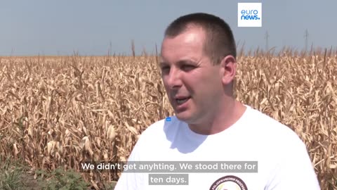 Farmers call for government actions as severe drought in Serbia forces early harvests