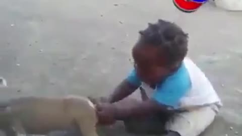 Funny video, kid vs dog bite