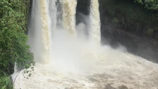 Rainbow Falls in Hilo Hawaii