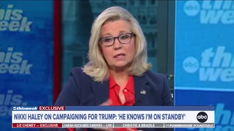 Liz Cheney: Americans Who Refuse to Vote for Harris Are 'Abandoning the Constitution'