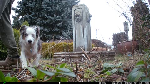 The pups find the camera