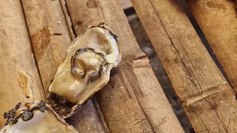 Eating fresh oysters by the sea at Tubajon, Laguindingan, Misamis Oriental