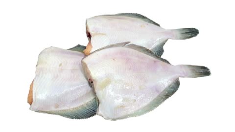 Rock Sole H/G, Lepidopsetta mochigarei, bilineata, Flunder, 冻双线鲽, ヒラメ, Russian Fish