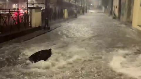 ITALY FLOODS: in Naples, located in southern Italy Stay tuned global_observers