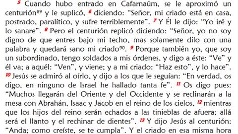 La Sagrada Biblia - Mateo Capítulo VIII