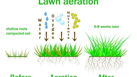 Lawn Aeration Clear Spring Maryland Lawn Care Service