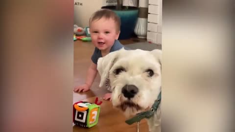 cutest babies play with dogs and cats