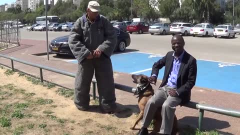 The dog professionally prevents a knife attack