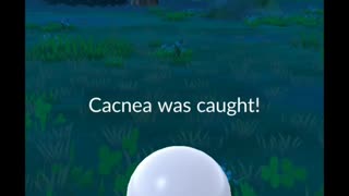 Pokémon GO-Shadow Cacnea