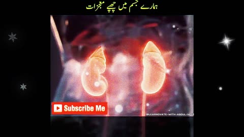 ALLAH KI TARAF SE TOFFA |TUM ALLAH KI KIS KIS NIMAT KO JHUTLAOGAYE | HAMARE JISAM MAE CHUPE MUJZAAT