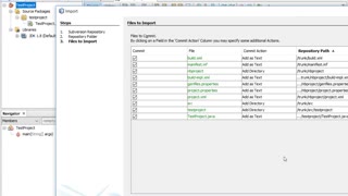 IPGraySpace: SVN - How to import java project to SVN from Netbeans