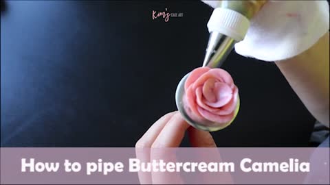 How to pipe Buttercream Camelia │ Korean Buttercream Flower