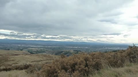 One Windy Afternoon Walk