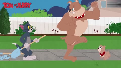 "Tom and Jerry: The Ultimate Cat and Mouse Chase!