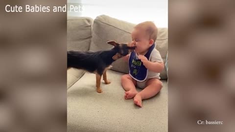 Adorable Pug Puppies Love Babies Compilation 😍 A Cute Puppy 🐶and Baby👶 Videos 2021