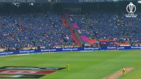 All the best catches from Cricket World Cup 2023 😱