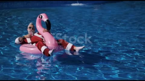 Flamingo pink animal and swimming seen