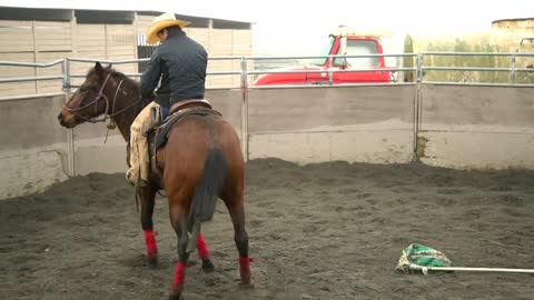 Meet Beaty's Butte Betty B and her first trainer, Kirk Ferris