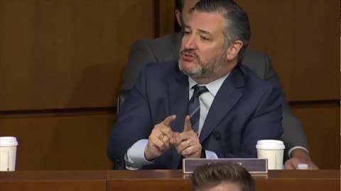 Sen. Cruz Blasts Democrats: They Will Crush You, Attack You, Slander You, Filibuster You