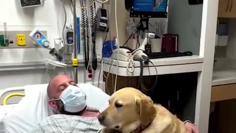 This man was hospitalized, and his dog was supporting him at all times.