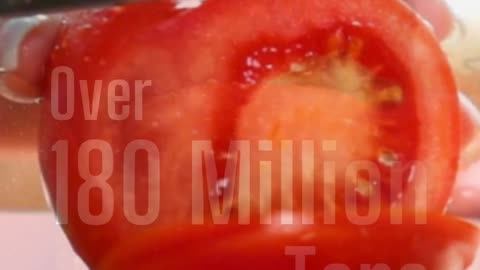 Tomatoes: The World's Most Consumed Fruit! 🍅