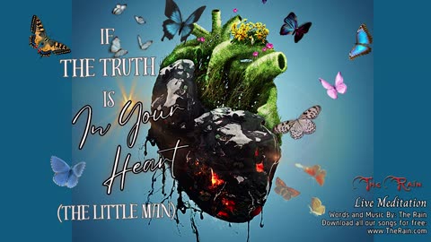 If The Truth Is In Your Heart (The Little Man) - Live